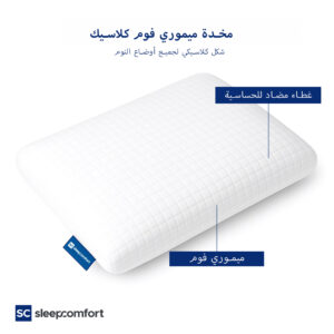 Classic pillow- 1 desc ar